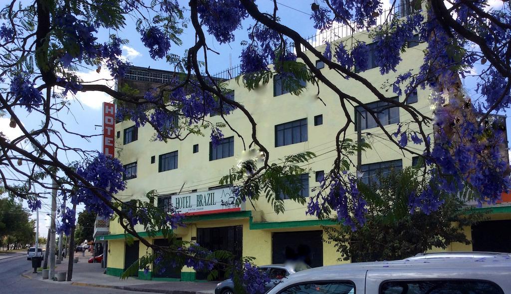 Oyo Hotel Brazil,Guadalajara,Estadio Jalisco Eksteriør billede