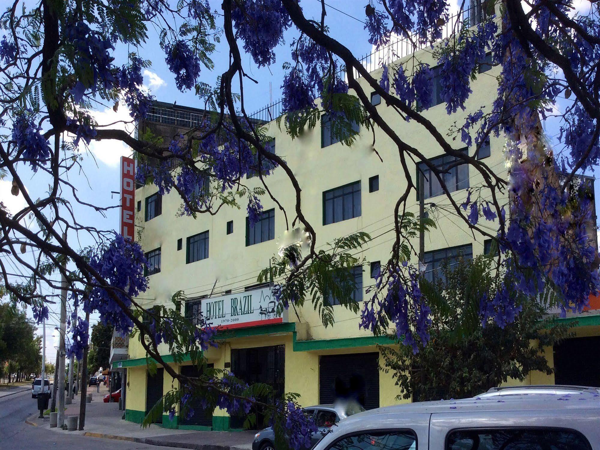 Oyo Hotel Brazil,Guadalajara,Estadio Jalisco Eksteriør billede